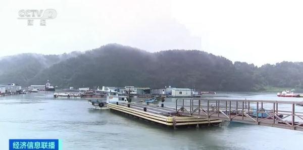 大量死亡，价格暴跌！“受日本福岛核污染水排海影响”……