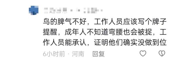 疑似啄到眼睛,上海一儿童被火烈鸟攻击?网友吵翻 疑似啄到眼睛,上海一儿童被火烈鸟攻击?网友吵翻
