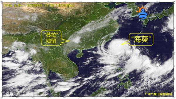 最大风力15级！“海葵”登陆台湾，后续可能影响广东