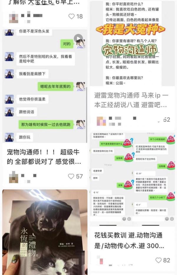 “收费500元看照片就能与宠物隔空对话”靠谱吗? 业内人士：没有科学依据
