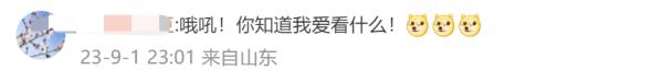 新生汪顺报到！这张照片亮了