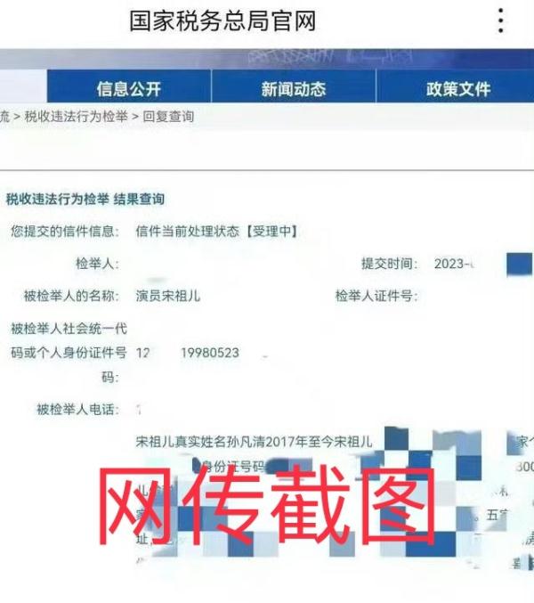 “00后”女演员蒋依依被举报偷漏税，税务局巡视局阐述