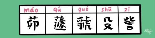 浙江多地公布“爆款”同名，最爱用的字竟是……