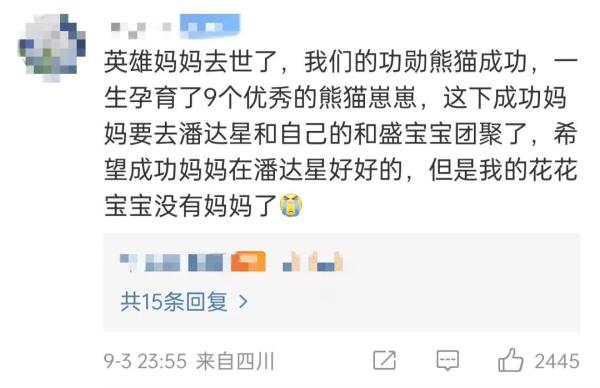 痛惜！大熊猫“花花”母亲离世，终年23岁