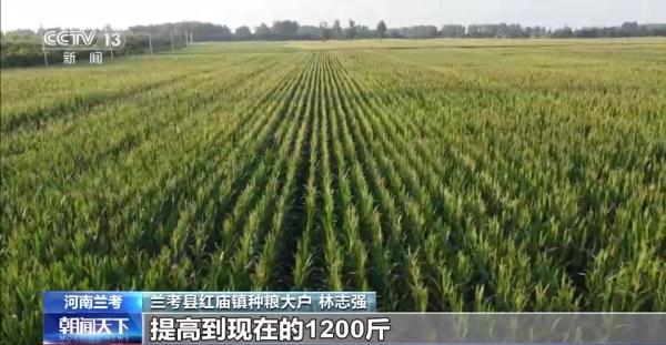 全国涉农贷款投放保持较快增长金融机构赋能高标准农田建设