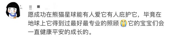 大熊猫“成功”猝然离世，网友伤心：“花花”没有妈妈了