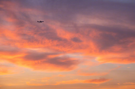 广州晚霞染红天际 广州晚霞染红天际
