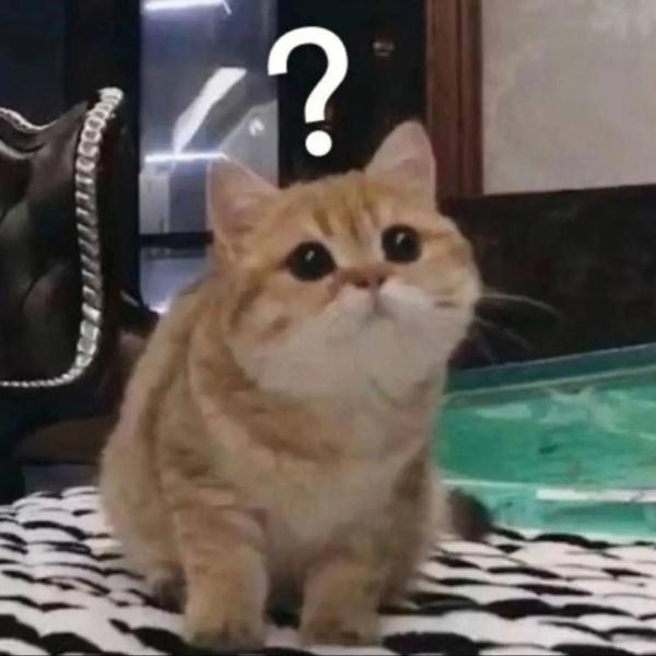 沪一小车突然撞上隔离墩！车主一头雾水：我没开车啊...