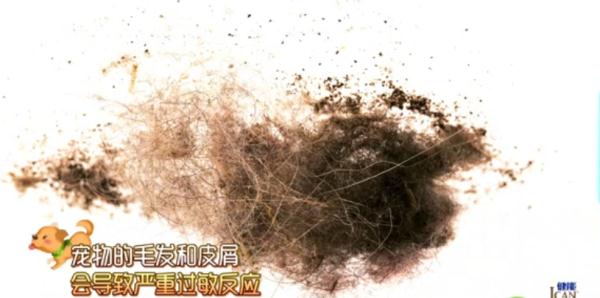 换季打喷嚏？可能不是病，而是"变态"反应！