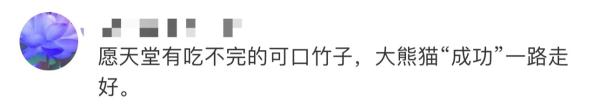 大熊猫“成功”猝然离世，网友伤心：“花花”没有妈妈了