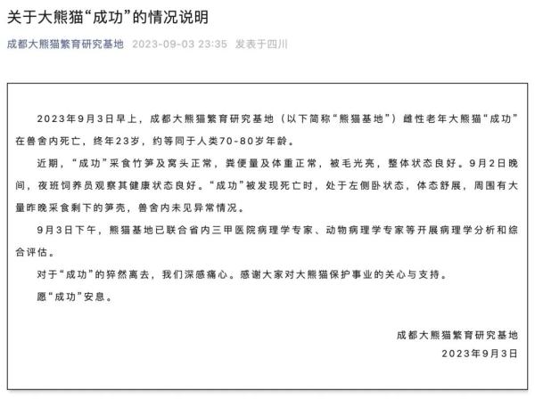 大熊猫“成功”确认死亡