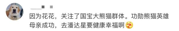 大熊猫“成功”猝然离世，网友伤心：“花花”没有妈妈了