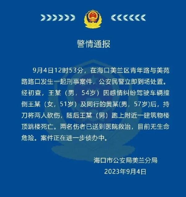 男子撞倒并砍伤2人后跳楼！海口警方最新通报