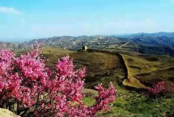 长城被挖掘机拦腰“斩断”！2人被刑拘