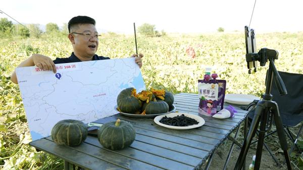 电商助农东风起，贝贝南瓜“火”出圈