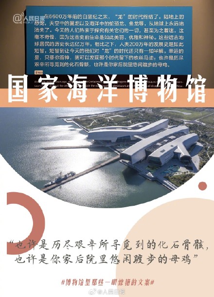 字字动人！博物馆里那些一眼惊艳的文案