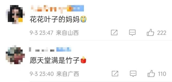 痛惜！大熊猫“花花”母亲离世，终年23岁