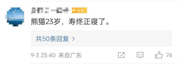 痛惜！大熊猫“花花”母亲离世，终年23岁