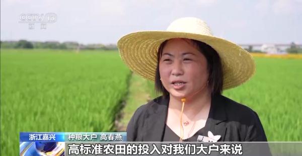 全国涉农贷款投放保持较快增长金融机构赋能高标准农田建设