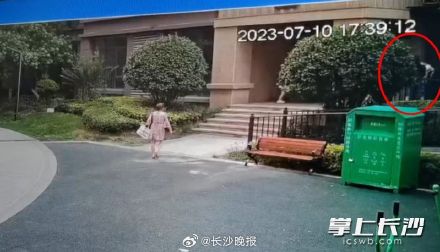 幼童坠楼瞬间，他一把接住！