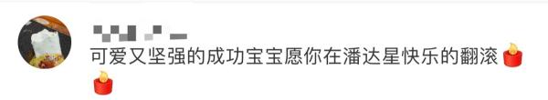 大熊猫“成功”猝然离世，网友伤心：“花花”没有妈妈了