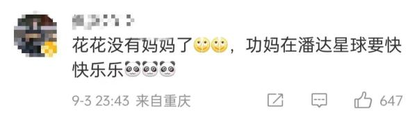 痛惜！大熊猫“花花”母亲离世，终年23岁