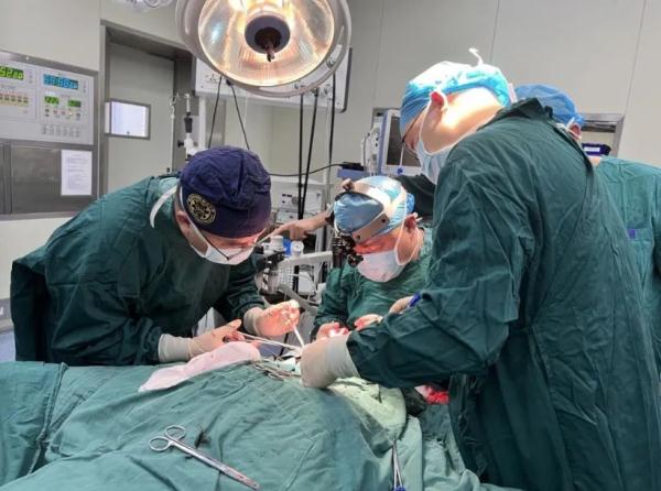 太吓人!女子左脸被狗撕咬,缝了整整500多针... 太吓人!女子左脸被狗撕咬,缝了整整500多针...