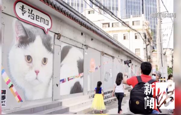 太气了!300万人围观的“小确幸”被毁!上海也曾有过... 太气了!300万人围观的“小确幸”被毁!上海也曾有过...