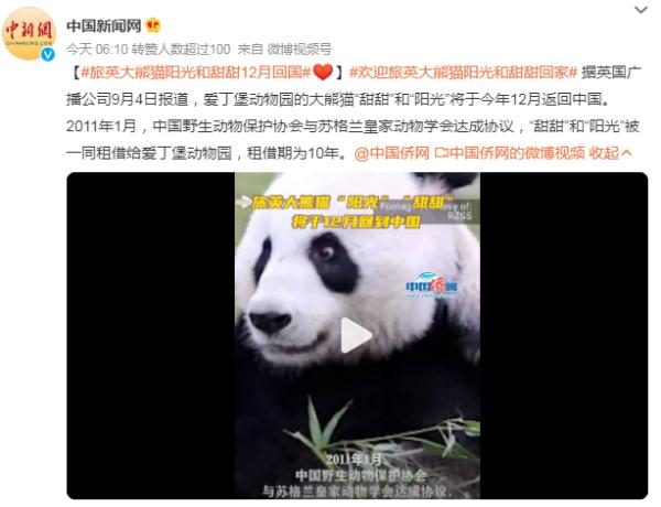 旅英大熊猫“甜甜”和“阳光”将于12月回国 旅英大熊猫“甜甜”和“阳光”将于12月回国