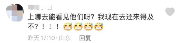 看到这辆车就知道，好吃的又来了！