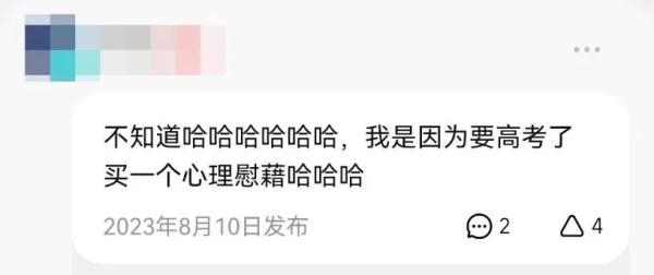 “骂醒恋爱脑”网店月入六七万？情绪产品火了，还有人买“爱因斯坦的脑子”