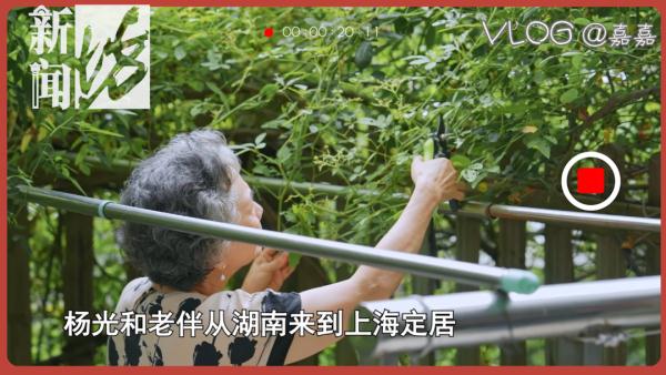 上海阿姨"霸屏"！曾和多位知名演员合作，如今"掏空"老年人钱包？