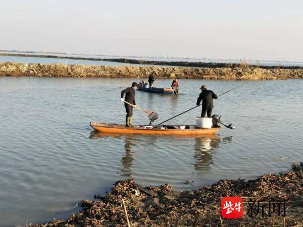 非法放生鲶鱼25000斤超八成均死亡造成渔业资源损害 被判赔偿用于生态修复