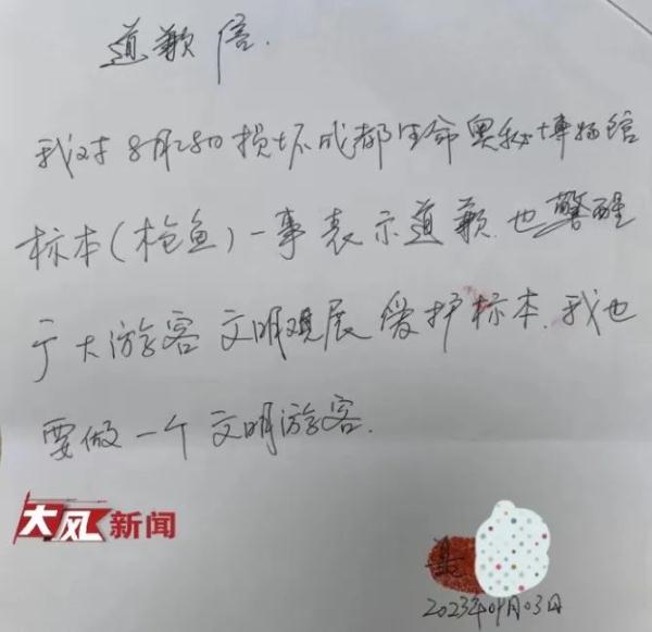 掰断博物馆“枪鱼”标本的男子找到了，博物馆回应→