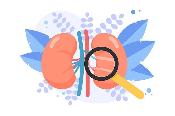 这6个不起眼的行为，正在“掏空”你的肾脏，希望你能逐一改正