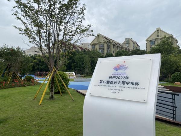 温州：传统龙舟竞渡地 亚运乘势再奋楫