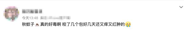 为什么秋天蚊子咬人更狠？