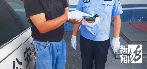 上海一居民家中空降"小仙子"！民警上门发现来头果真不小