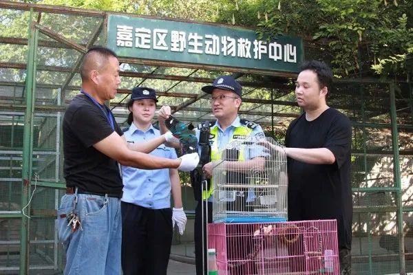 上海一居民家中空降"小仙子"！民警上门发现来头果真不小