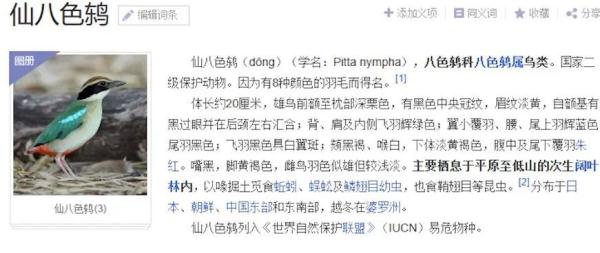 上海一居民家中空降"小仙子"！民警上门发现来头果真不小