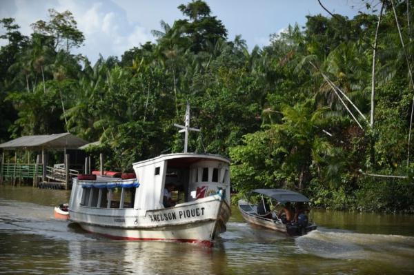 巴西亚马孙雨林砍伐面积8月减少逾六成 巴西亚马孙雨林砍伐面积8月减少逾六成