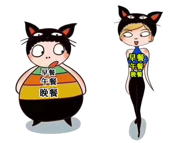 不吃早餐，真的会变胖吗？