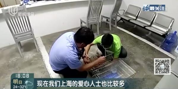 上海一居民家中空降"小仙子"！民警上门发现来头果真不小