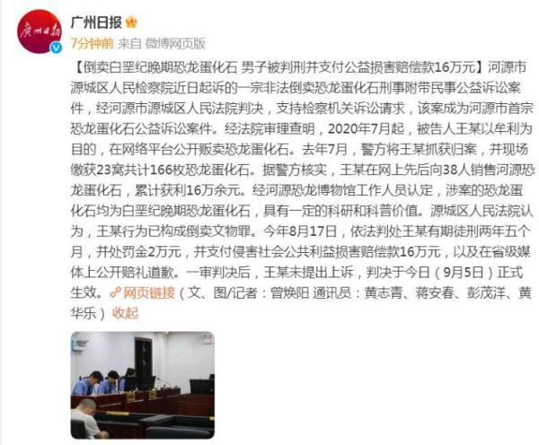 倒卖白垩纪晚期恐龙蛋化石 男子被判刑并支付公益损害赔偿款16万元