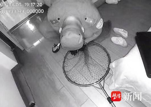 不速之客夜闯民宅，民警上门一招制“蝠”