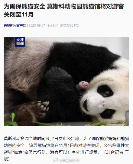 莫斯科动物园熊猫馆对游客关闭至11月