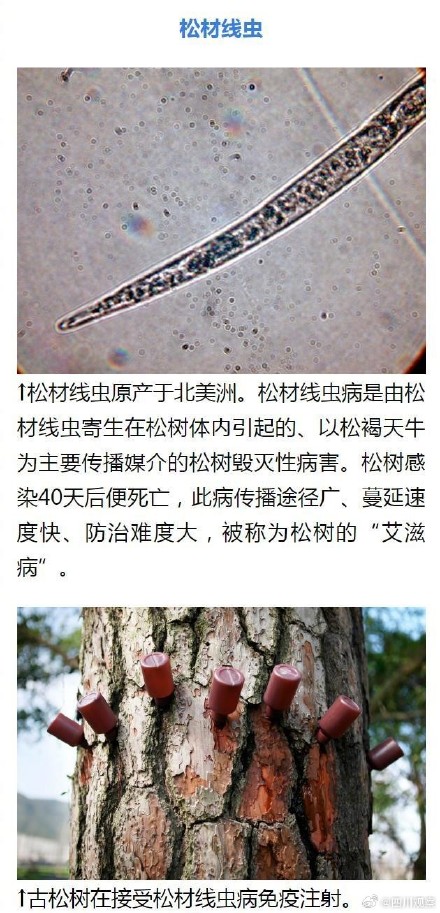 外来物种入侵有哪些危害？