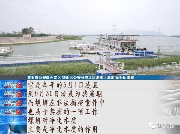 2人被逮捕，6人被刑拘！一笔流水账扯出上百万的灰色产业链