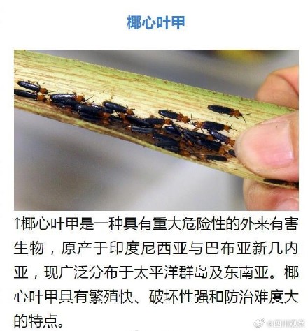 外来物种入侵有哪些危害？