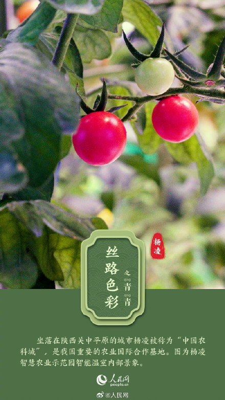 当中国传统色遇到丝绸之路,可以有多美 当中国传统色遇到丝绸之路,可以有多美